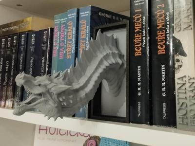 Dragon Book Nook