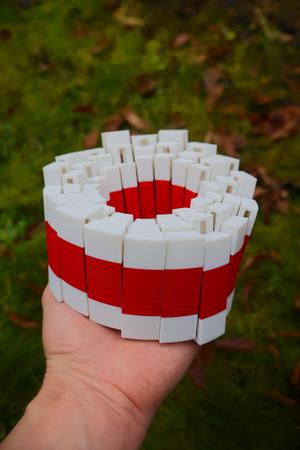Circle Flexi Grid Fidget Toy