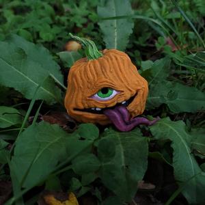 TofuRevolution’s One-eyed pumpkin
