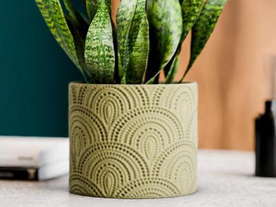 Indoor Plant Pot