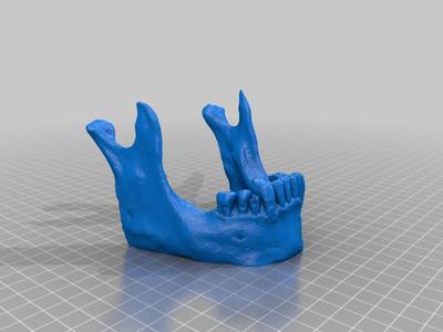Skull Jaw Phone Tablet Business Card Stand