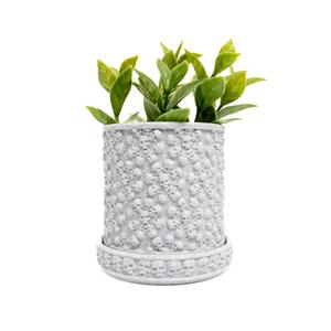 Skull Planters