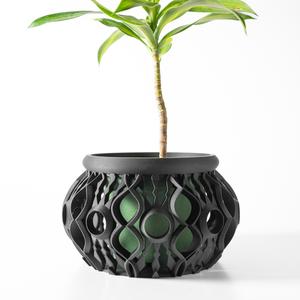 The Lyren Planter Pot & Orchid Pot Hybrid with Drainage Tray: Modern Home Decor for Plants