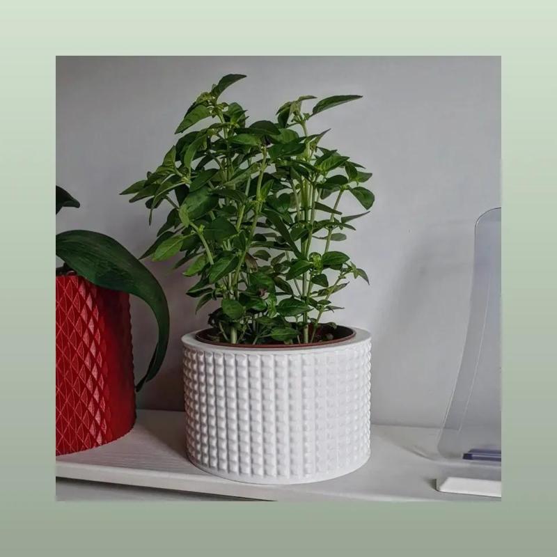 Vase Pot Planter Cachepot 2