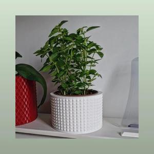 Vase Pot Planter Cachepot 2
