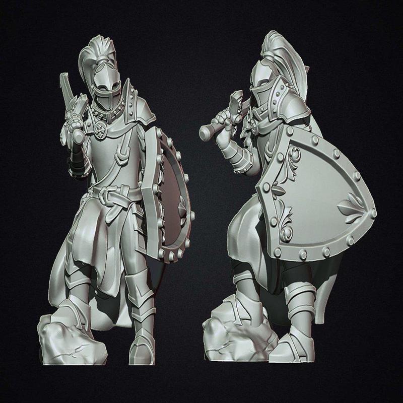 Fantasy medieval knight with shield
