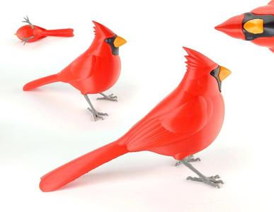 Northern Cardinal “puzzle”