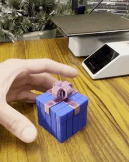 Present Gift Box Sliding Fidget Cubes