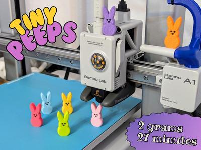 Tiny Peeps Marshmallow Bunny | Easter Bunnies