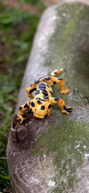 flexi salamander / fantasy / print in place / animal