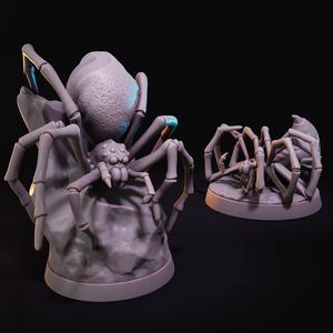 Spider