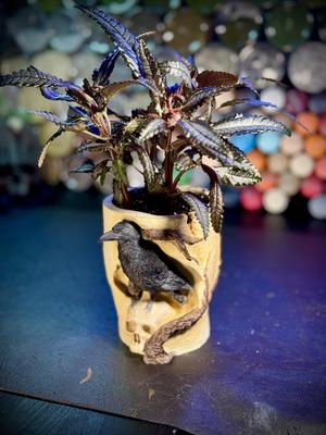The Raven’s skull planter