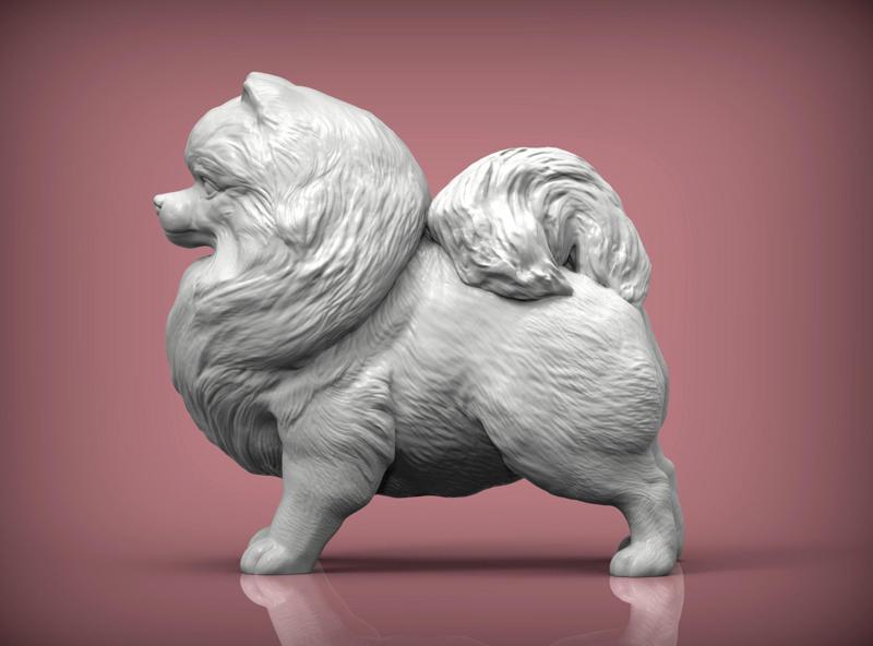 Pomeranian figurine