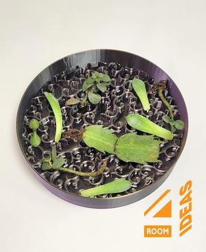 Succulent Propagation Tray – Karasuka