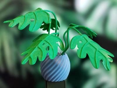 Moldable Monstera Plant