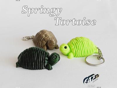 Springy Tortoise