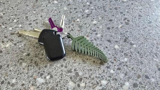 Silver Fern Keychain
