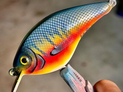 Crankbait Lure for Bass, Fishing, Trout, Jigging