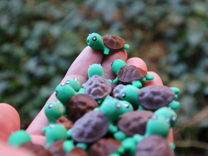 Cute tiny turtless & Keychain – No support
