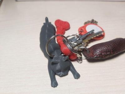 Flexi Holding Cat (Print-in-place) – keychain
