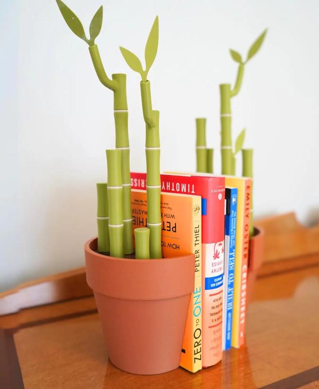BAMBOOKENDS, 5 in 1 Functional Plant.