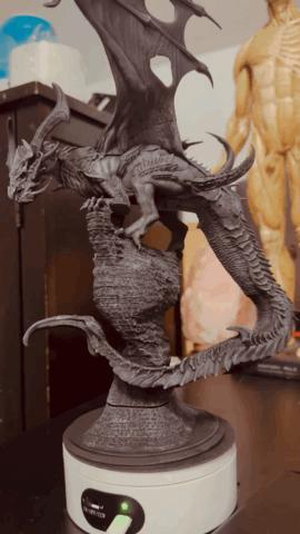 Zgornjaryx The pale (white dragon)