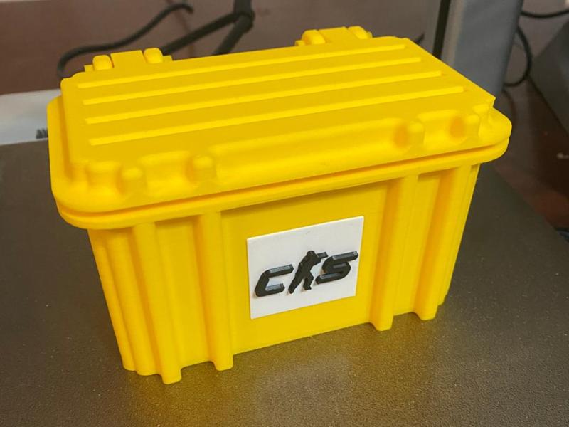 Counter Strike Case