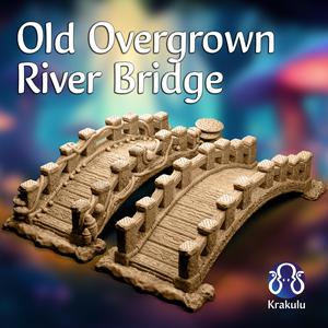 Old Overgrown River Bridge
