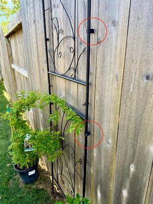 Wall mount for 13mm diameter trellis