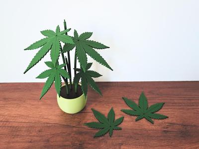 Cannabis plant coaster set