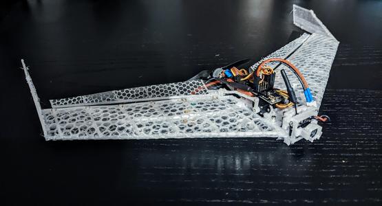 Voronoi Membrane FPV-Wing-Racer