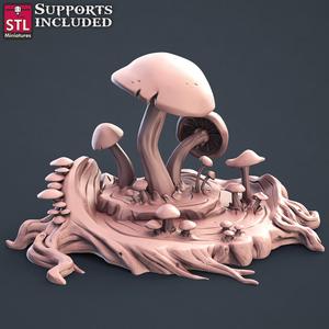 Druid Mushrooms