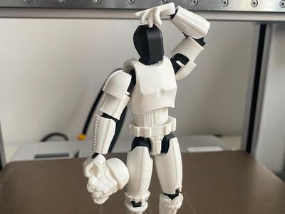 StormTrooper helmet in Dummy13 Hand (StarWars)