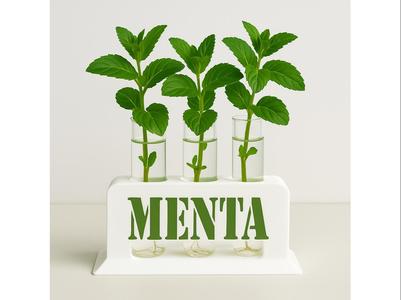 Test Tube Holder - MentaGrow