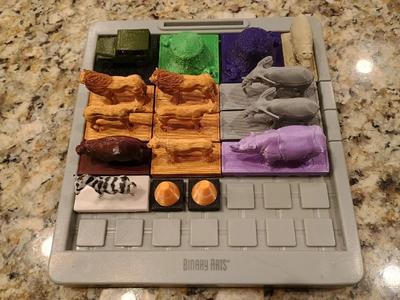 Binary Arts Safari puzzle game pieces   