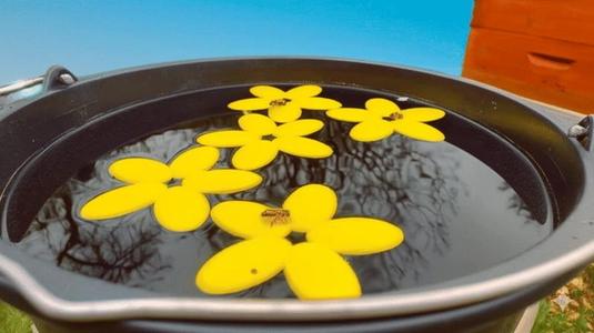 3D Printed Floating Flower Pad for Bees