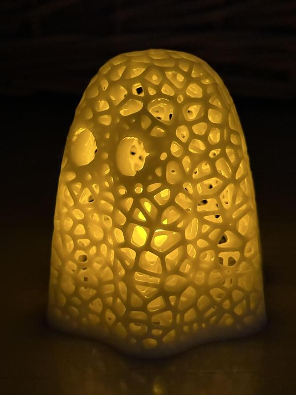 Voronoi Ghost