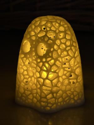 Voronoi Ghost