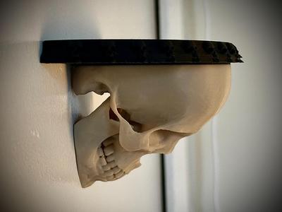 Human Skull Shelf