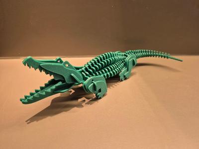 3D Crocodile puzzle   