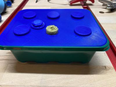 Cutting Propagator with Wicking System