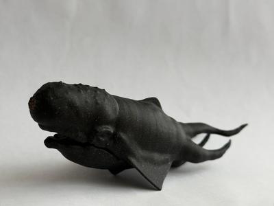 Space Wars Whale