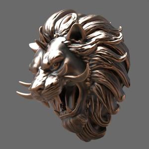 Lion’s head