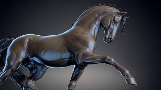 Andalusian horse  –   3D Sculpting