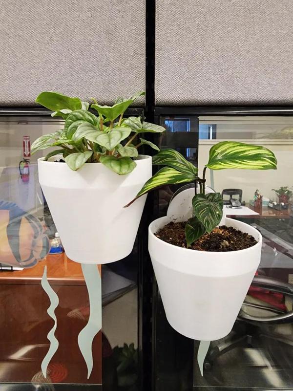 Window or Wall Hanging Plant Pot