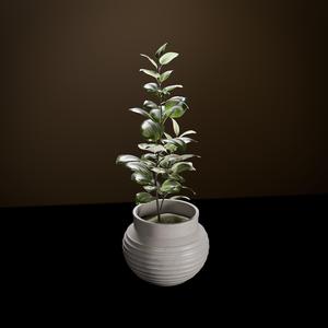 Planter – Desktop Planter 06