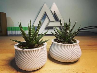 Vases for IKEA Haworthia Universe plant