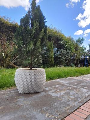 Large Scale Knitted Tree Planter