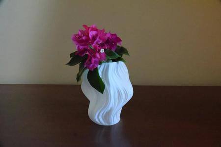 Zephyr’s Kiss (Fractal vase – Julia set)