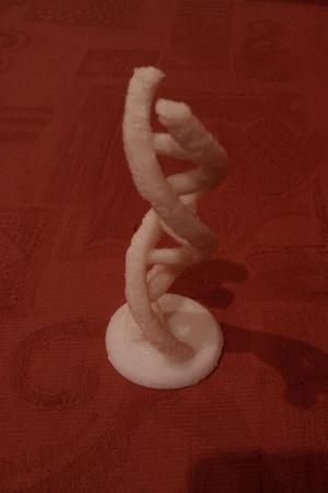 DNA Sculpture (Parameterised)